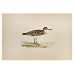 Peep, gravure sur bois d
Alexander Francis Lydon  - 1870