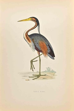 Antique Purple Heron- Woodcut Print by Alexander Francis Lydon  - 1870