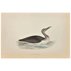 Roter, gedrechselter Taucher – Holzschnitt von Alexander Francis Lydon  - 1870