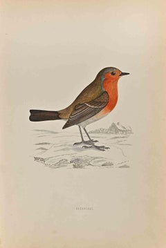 Antique Redbreast - Woodcut Print by Alexander Francis Lydon  - 1870