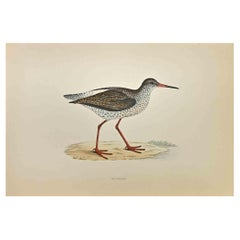 Redshank - Woodcut Print by Alexander Francis Lydon  - 1870