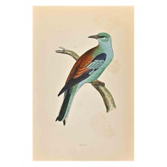 Roller - Stampa xilografica di Alexander Francis Lydon  - 1870