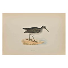 Tirage Sandpiper- Woodcut d
Alexander Francis Lydon  - 1870