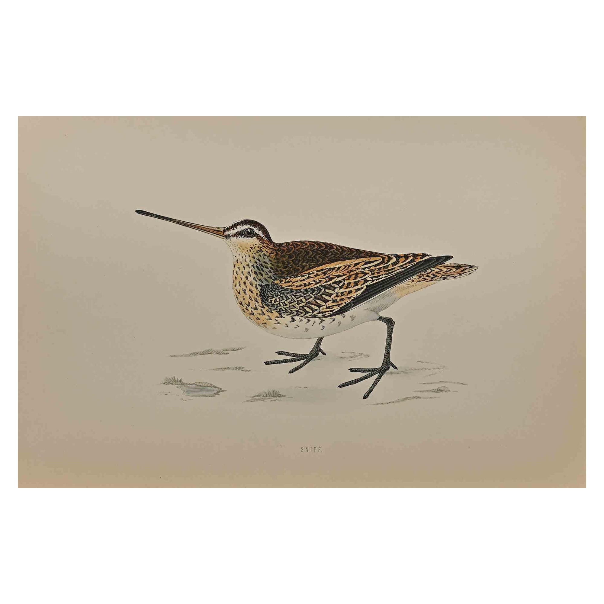 Couteau - Impression sur bois à couleurs mélangées - 1870