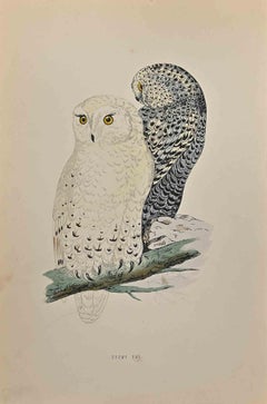 Snowy Owl - Woodcut Print by Alexander Francis Lydon  - 1870