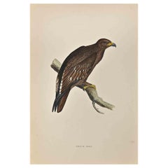 Águila moteada - Grabado xilográfico de Alexander Francis Lydon  - 1870