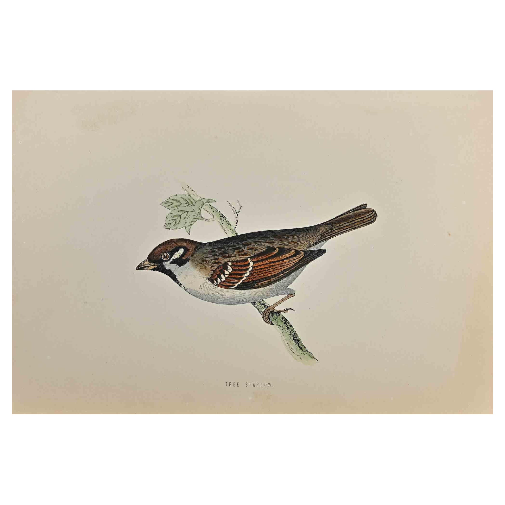 Motif de moisson d'arbre - gravure sur bois d'Alexander Francis Lydon  - 1870