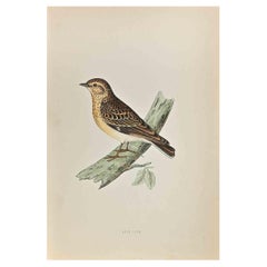 Wood Lark - Woodcut Print by Alexander Francis Lydon  - 1870