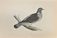 Wood Pigeon - Woodcut Print by Alexander Francis Lydon  - 1870