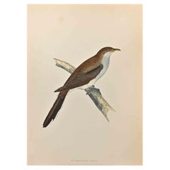 Cuckoo  billes jaune - Impression sur bois d'Alexander Francis Lydon  - 1870
