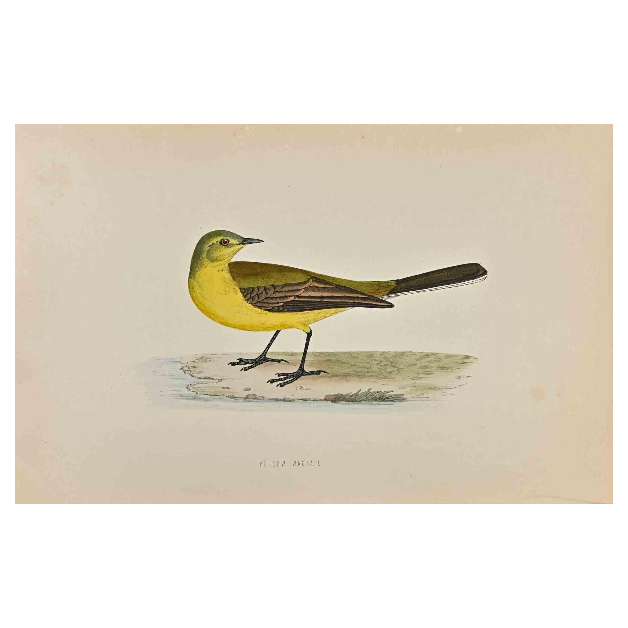 Tailleur queue de bœuf jaune - Impression sur bois d'Alexander Francis Lydon  - 1870