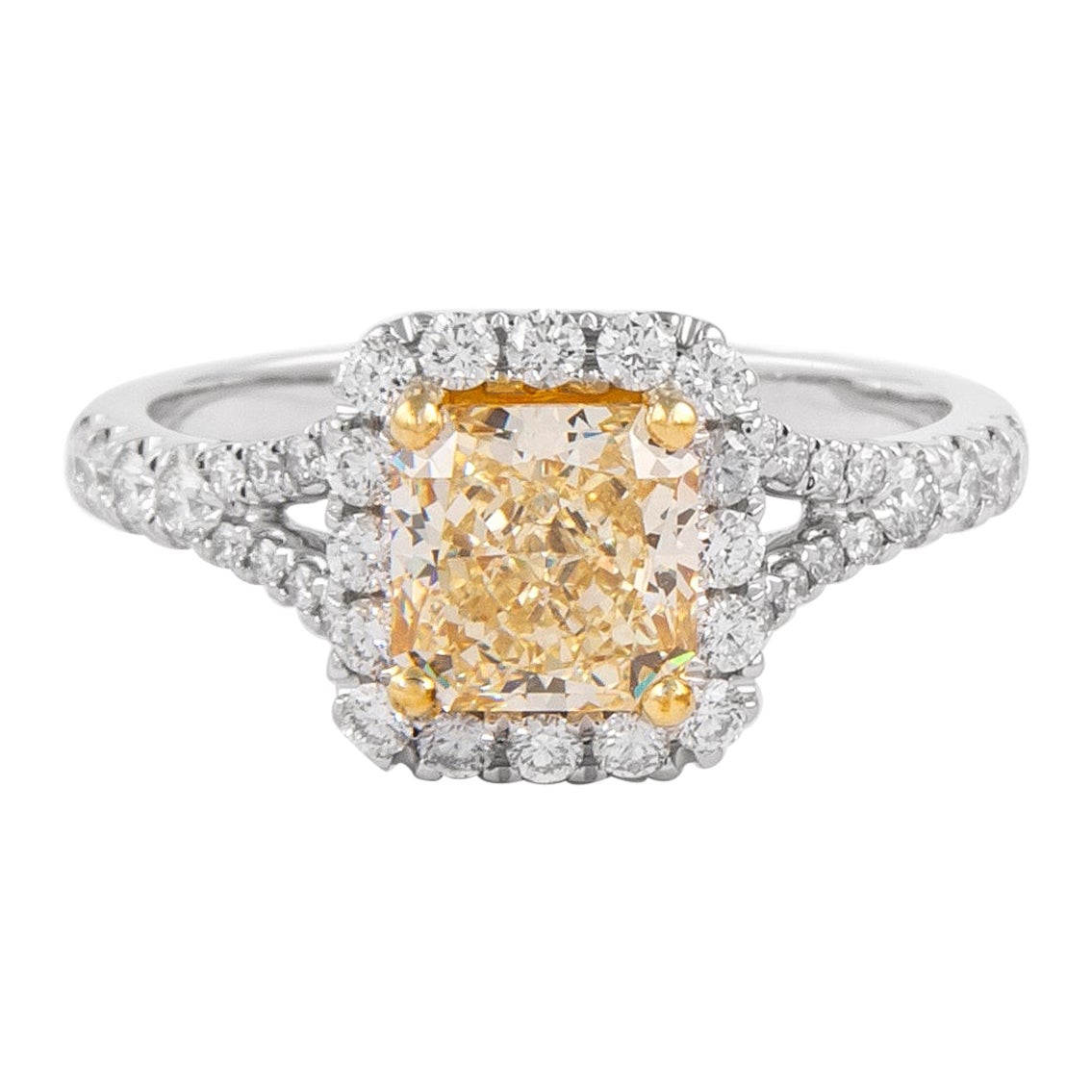 Alexander GIA 1,34 Karat Fancy Hellgelber VS2 Diamant mit Halo 18k Zweifarbiger Diamant