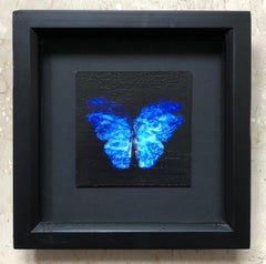 Transparency of a Dream [2.0-IX]