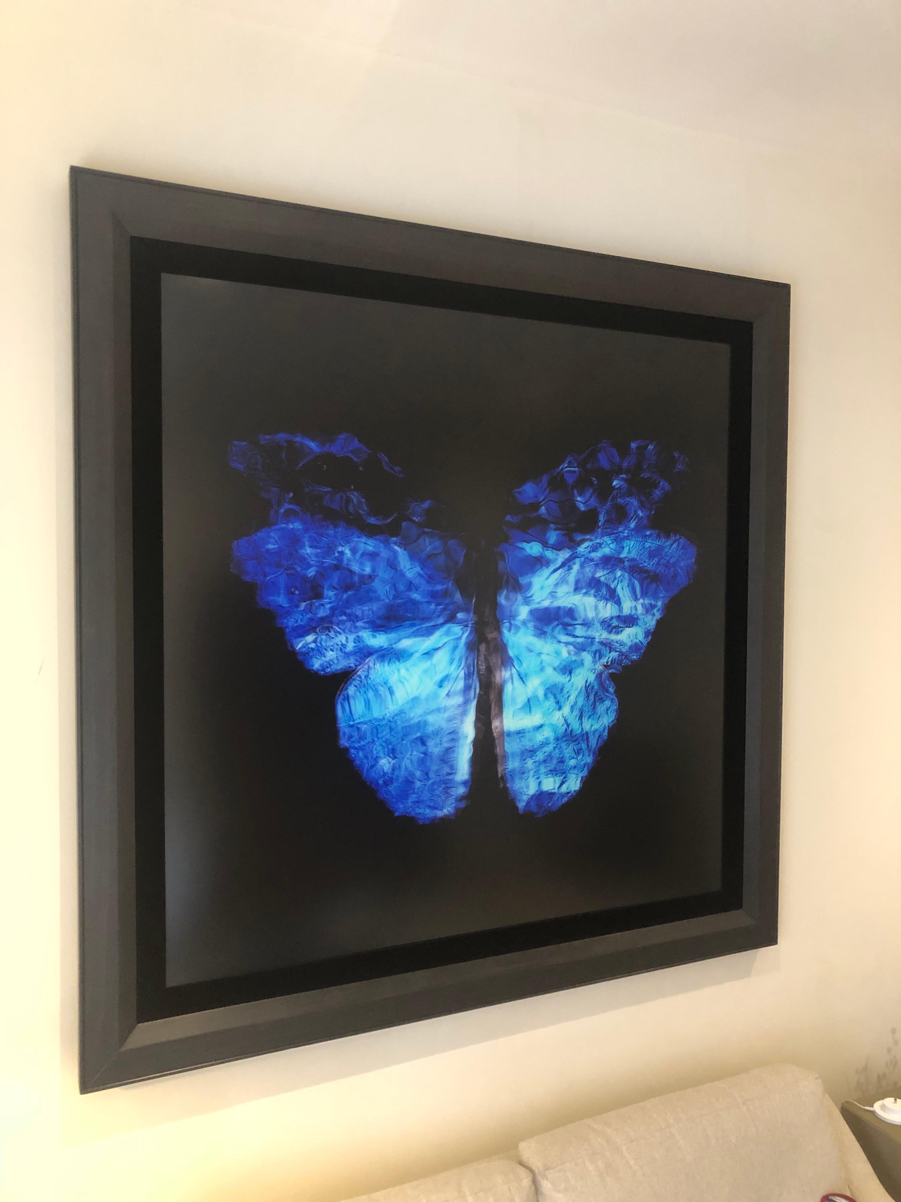 Transparenz eines Traums [0813-28] (Zeitgenössisch), Photograph, von Alexander James Hamilton