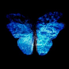 Transparency of a Dream [0813-28] - C Print by Alexander James Hamilton