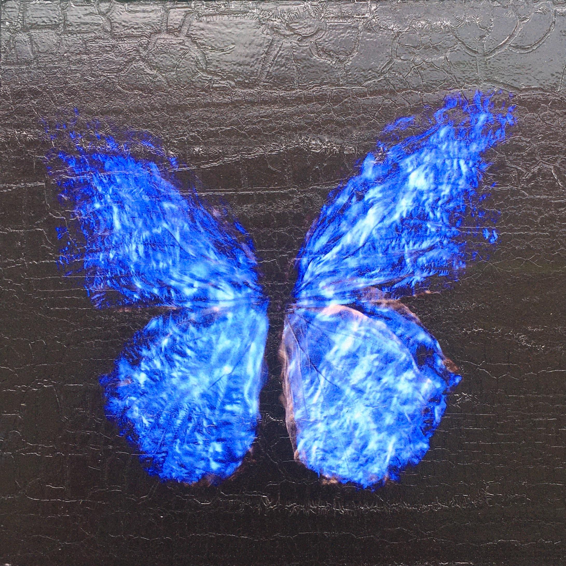 Transparenz eines Traums [2.0-II] (Zeitgenössisch), Photograph, von Alexander James Hamilton