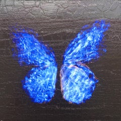 Transparencia de un sueño [2.0-II]