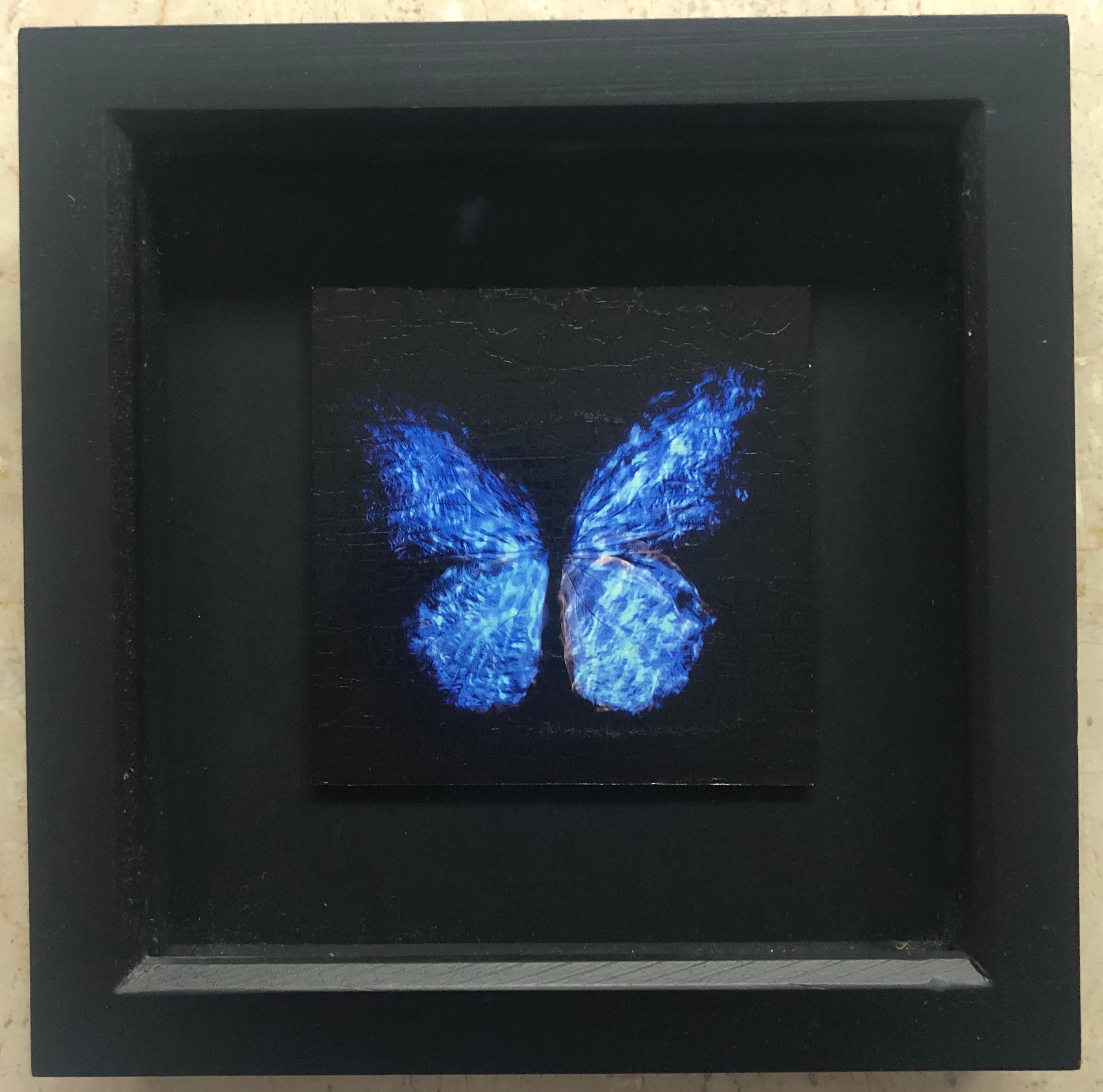 Transparenz eines Traums [2.0-II] – Photograph von Alexander James Hamilton
