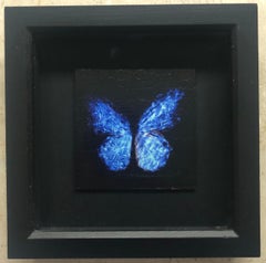 Transparency of a Dream [2.0-II]