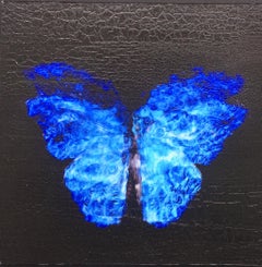 u2028Transparencia de un sueño [2.0-IX]