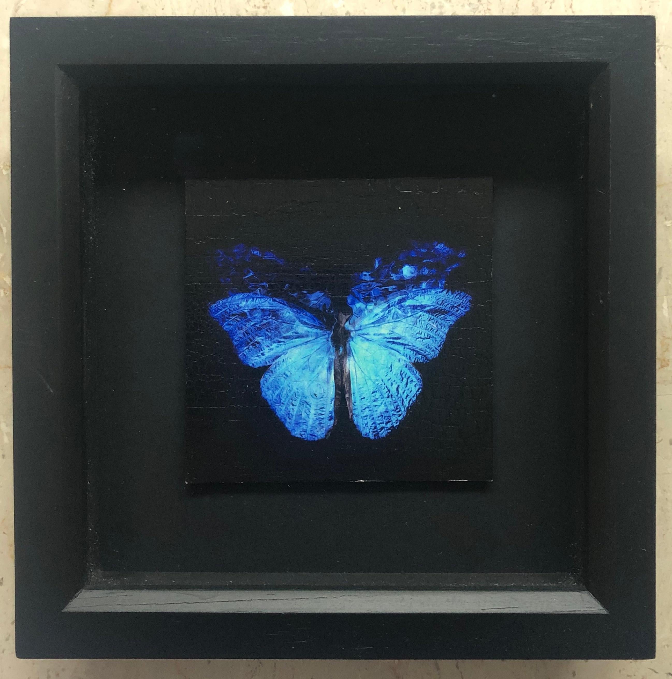 Transparency of a Dream [2.0-X] - Print by Alexander James Hamilton
