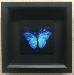 Transparency of a Dream [2.0-X]