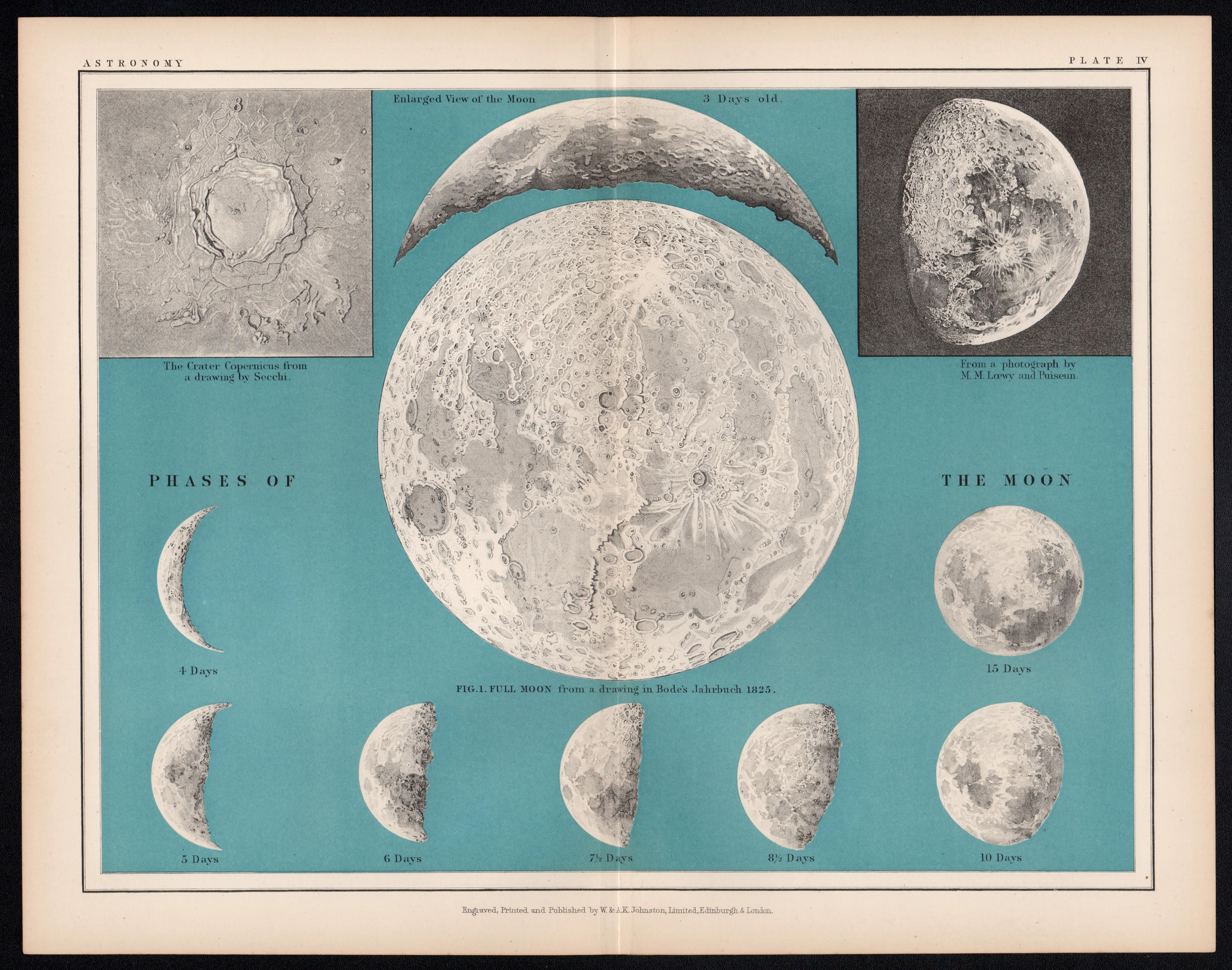 Phases of the Moon, antique astronomy lunar diagram print - Print by Alexander Keith Johnston