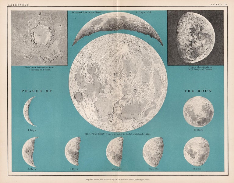 Phases of the Moon, antique astronomy lunar diagram print at 1stDibs