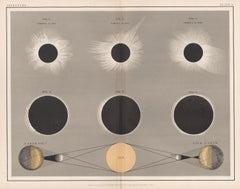 Solar eclipse, Antique astronomy sun diagram print