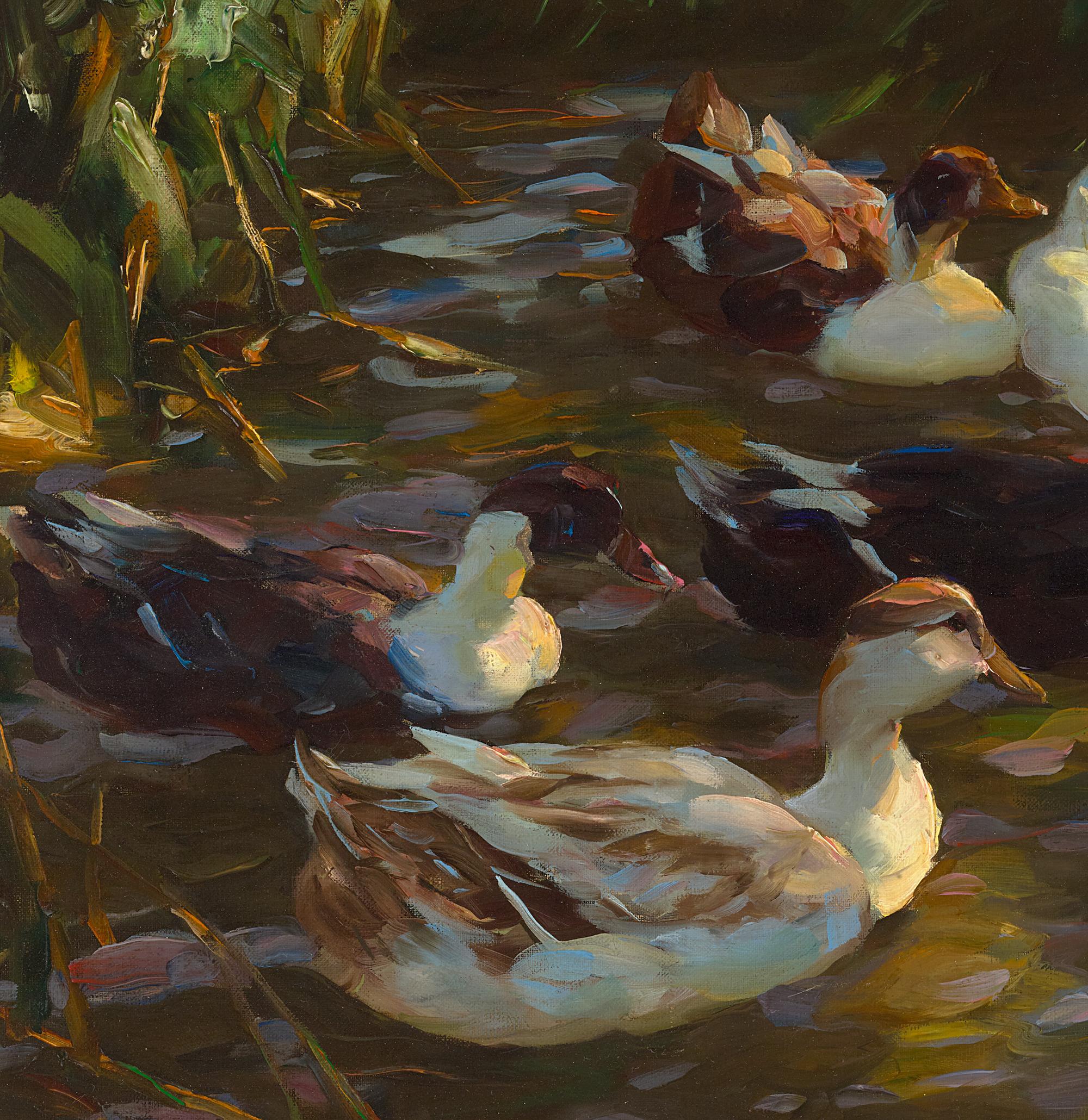 Patos en un estanque por Alexander Koester en venta 2