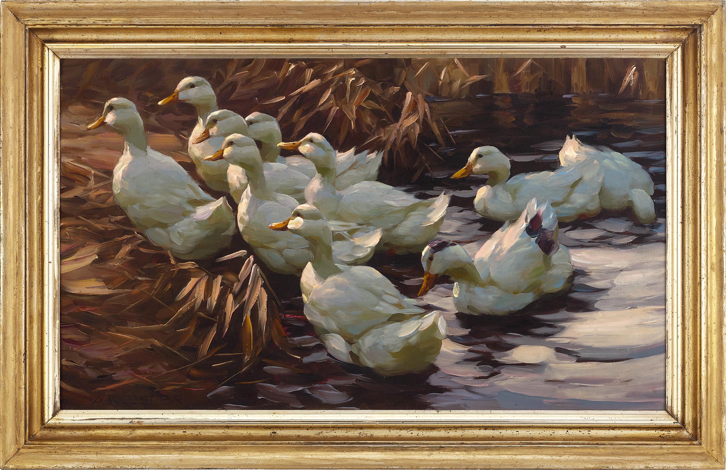 Les canards quittant l'eau par Alexander Koester 1