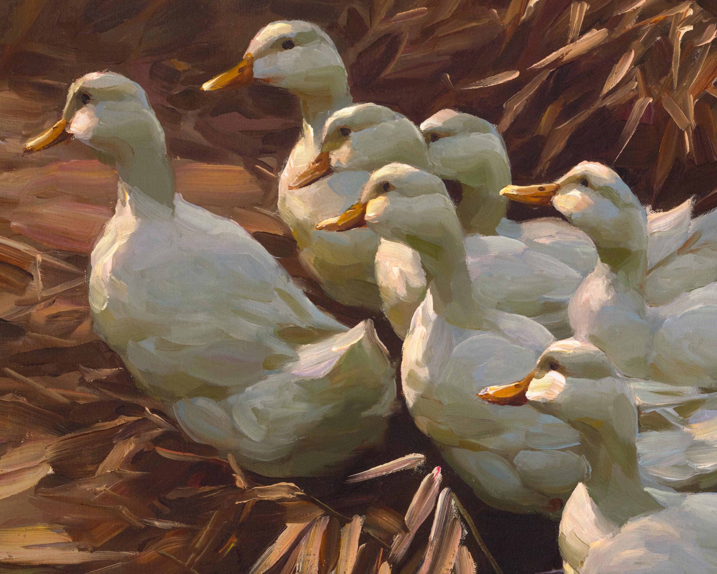 Les canards quittant l'eau par Alexander Koester 2