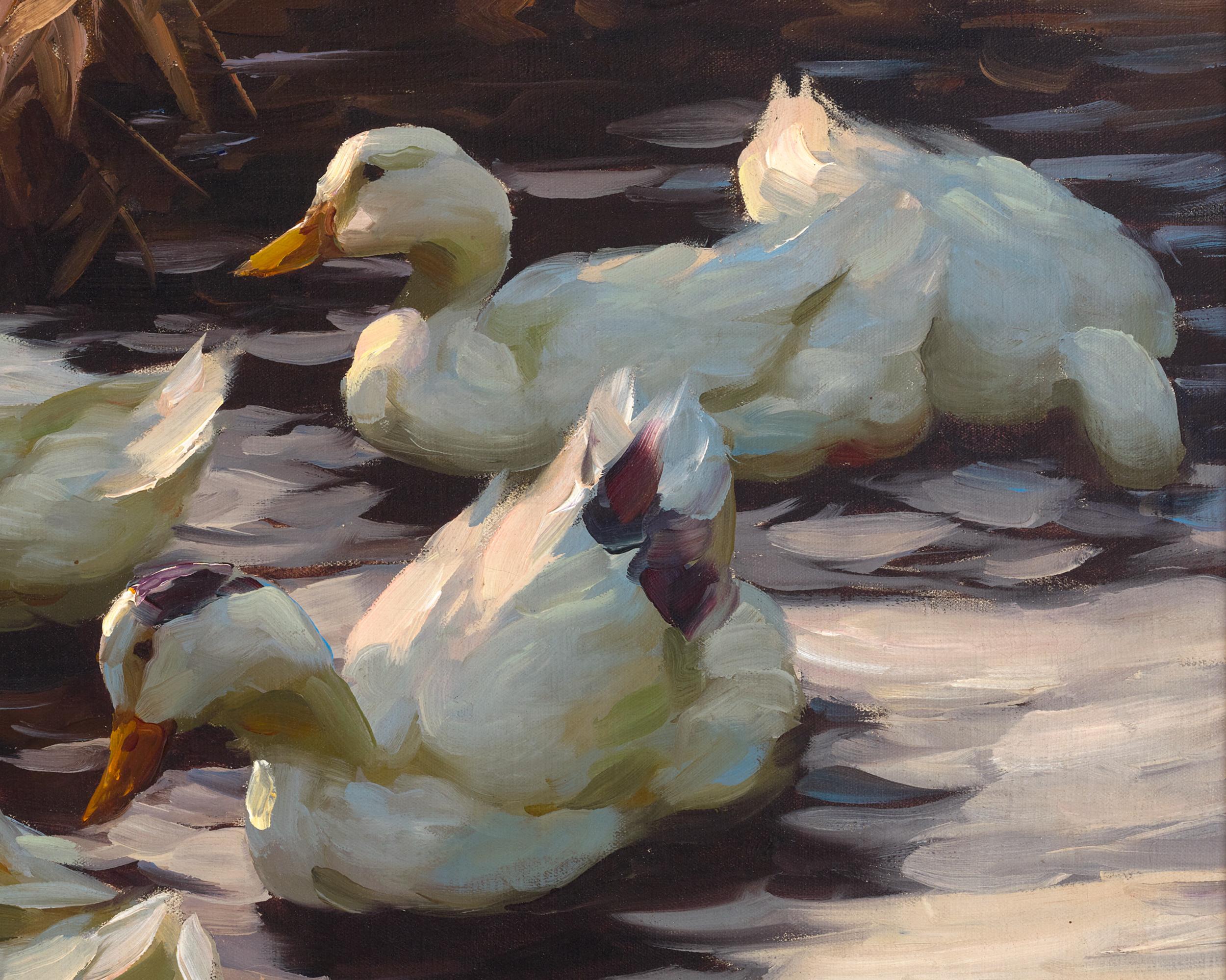 Les canards quittant l'eau par Alexander Koester 3