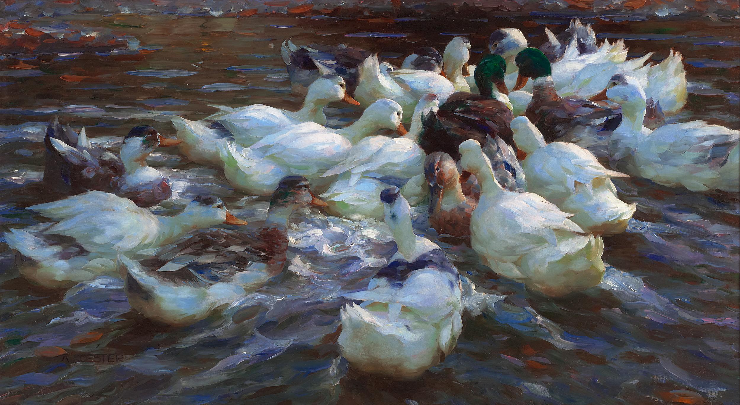Sedici anatre di sera di Alexander Koester