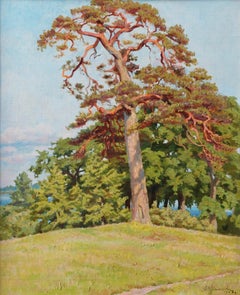 Ancient pine. 1958, cardboard, oil, 53.5x43.5 cm