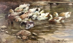 Enten im Weiher (Ducks in the Pond) - Painting, Oil/Canvas, Animals, Naturalism