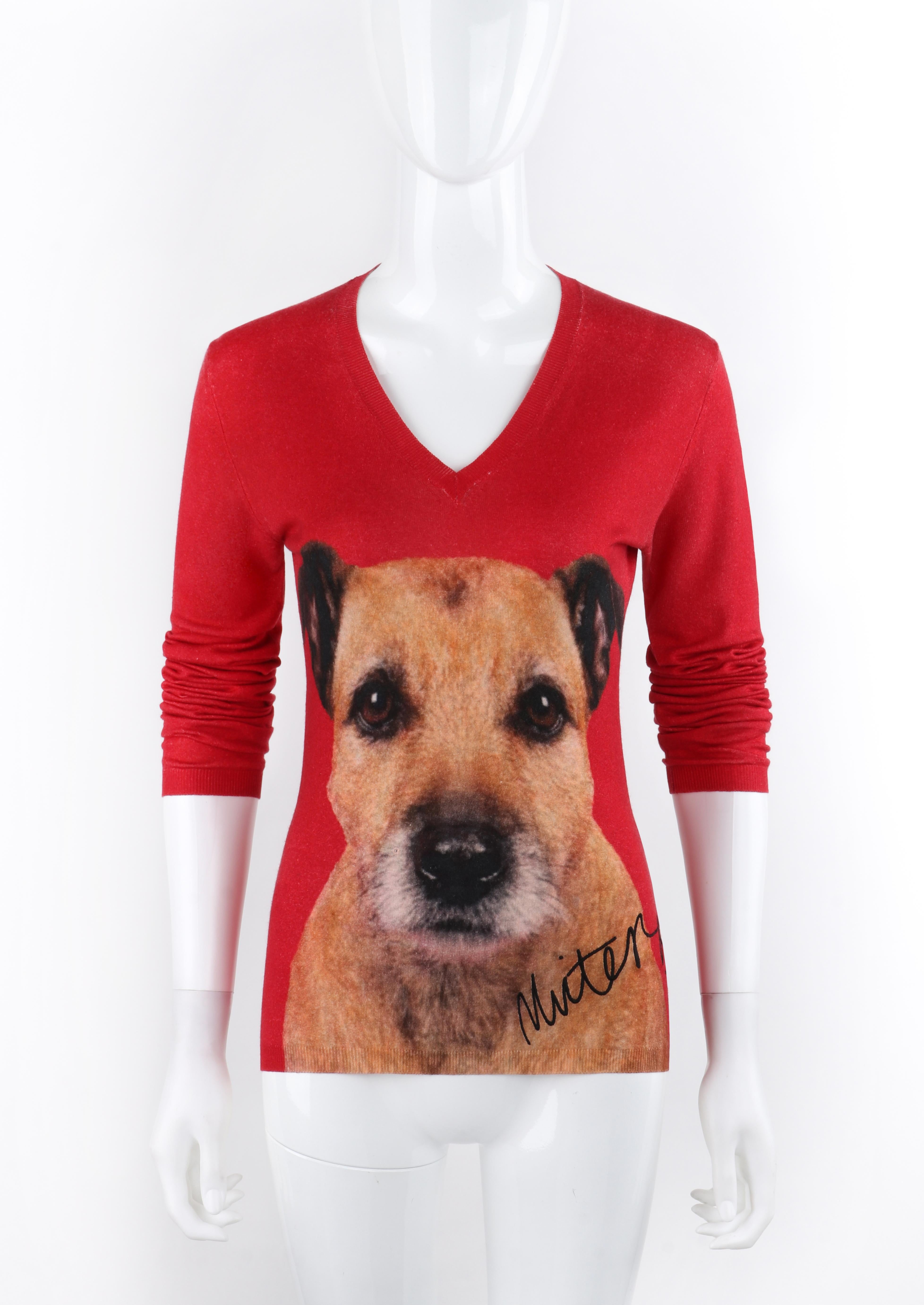 border terrier jumper