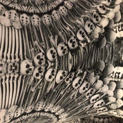 Alexander McQueen 2010 Collection "Skulls" Top (42 Itl)