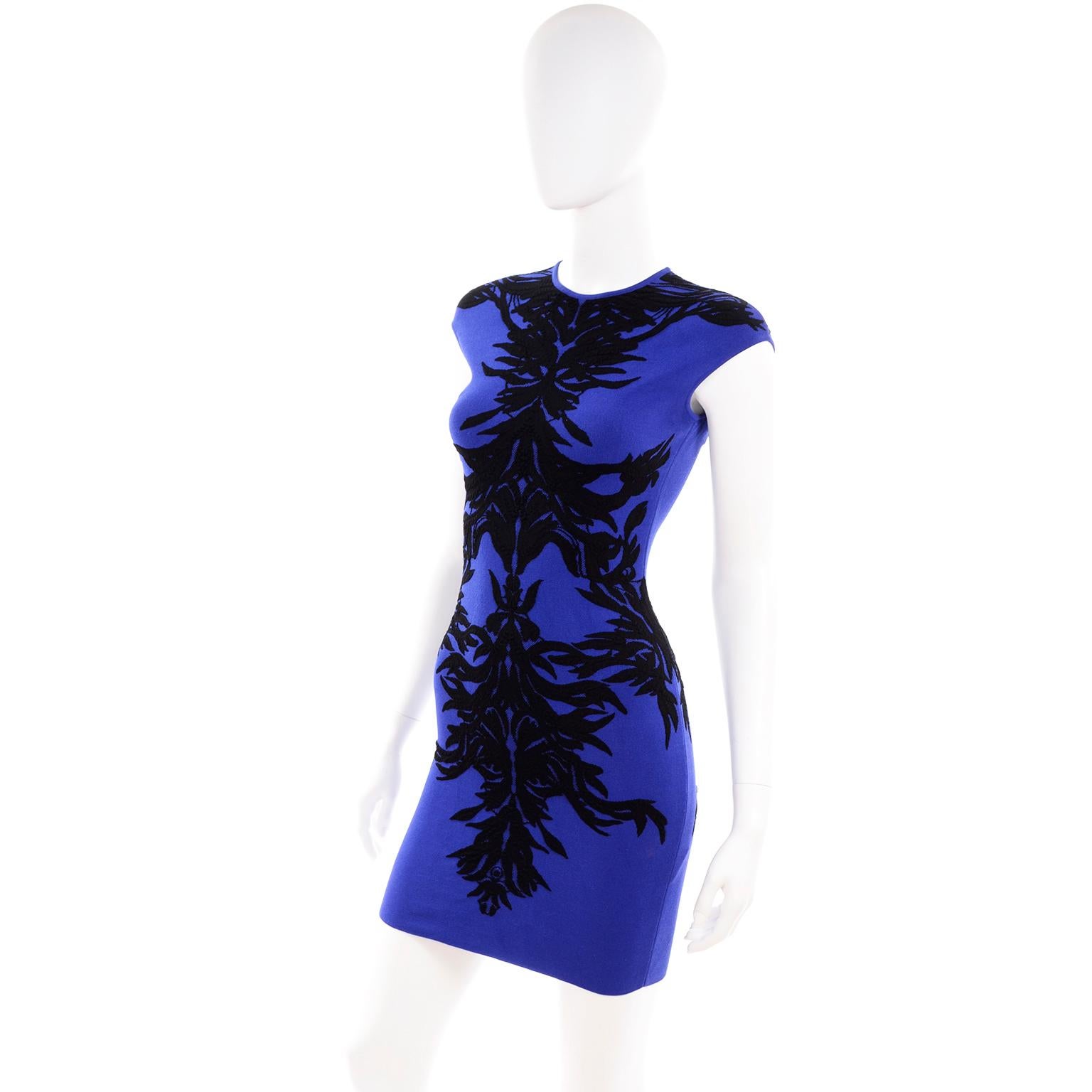 Purple Alexander McQueen Blue & Black Spine Print Intarsia Knit Bodycon Sheath Dress