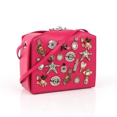ALEXANDER McQUEEN Fall 2016 Hot Pink Leather "The Obsession Box" Shoulder Bag