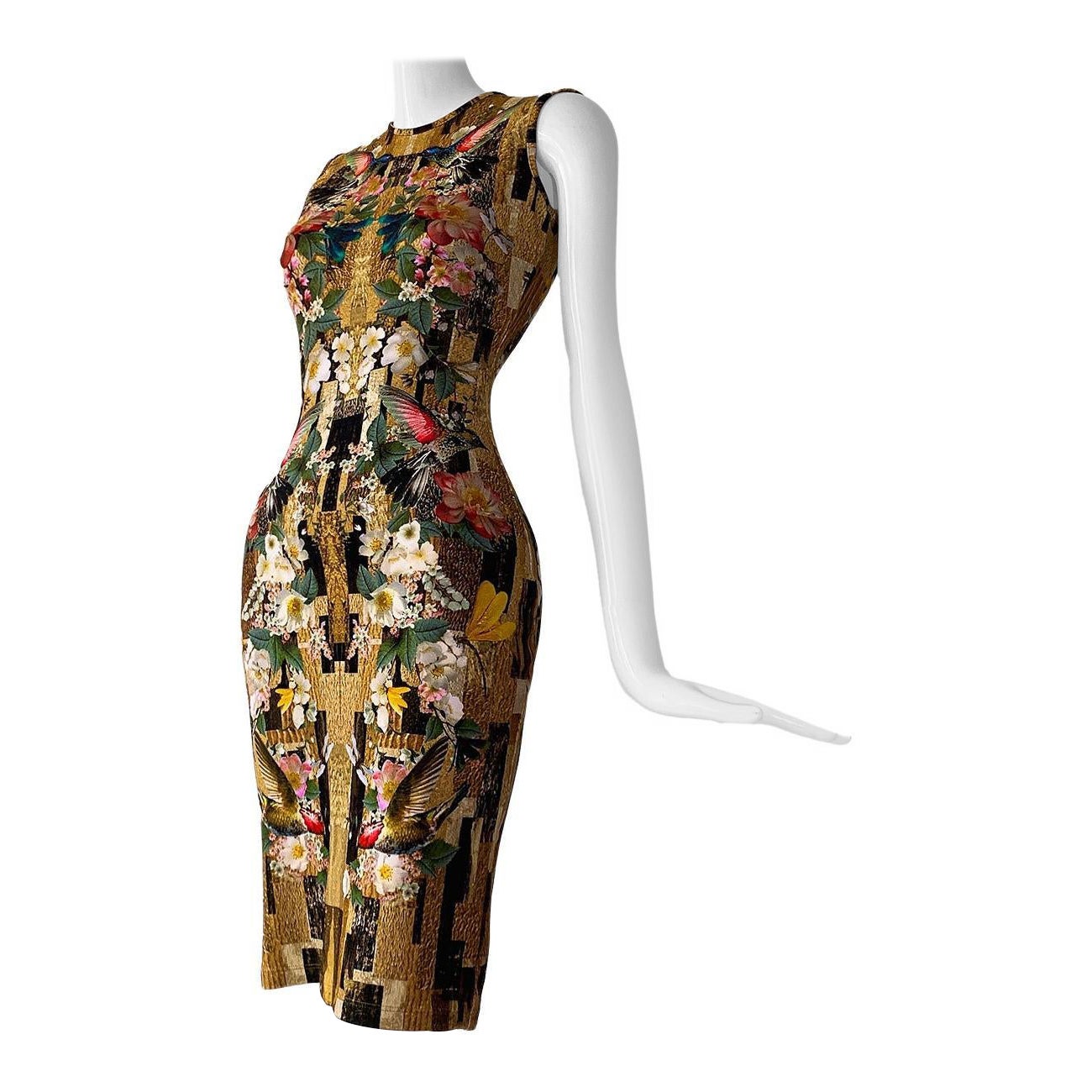 Alexander McQueen Hummingbird Dragonfly Floral Fitted Dress