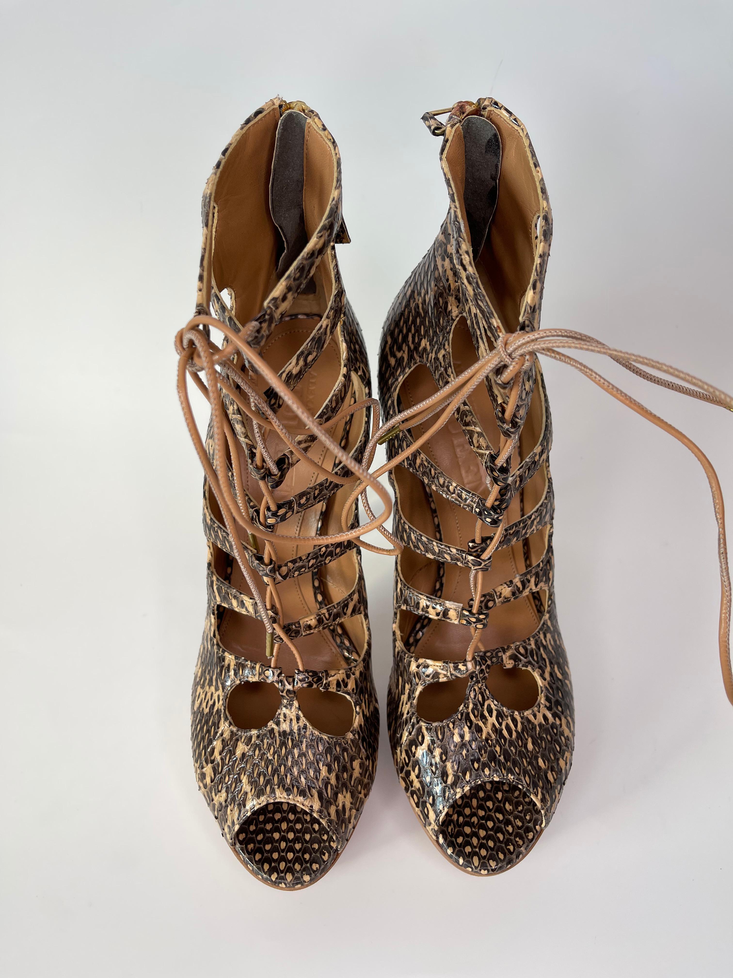 cheetah alexander mcqueen shoes