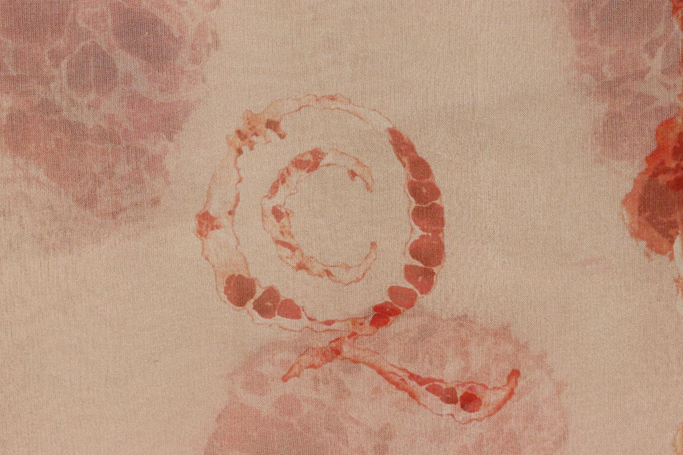 Alexander Mcqueen Printed Silk Chiffon Scarf In Excellent Condition In London, GB