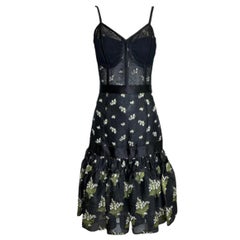 Alexander Mcqueen Resort Floral Reverse-Print Bustier Dress, 2016