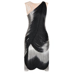 Alexander McQueen Runway Fringe Embroidered Dress Spring/Summer 2009 Size 40IT