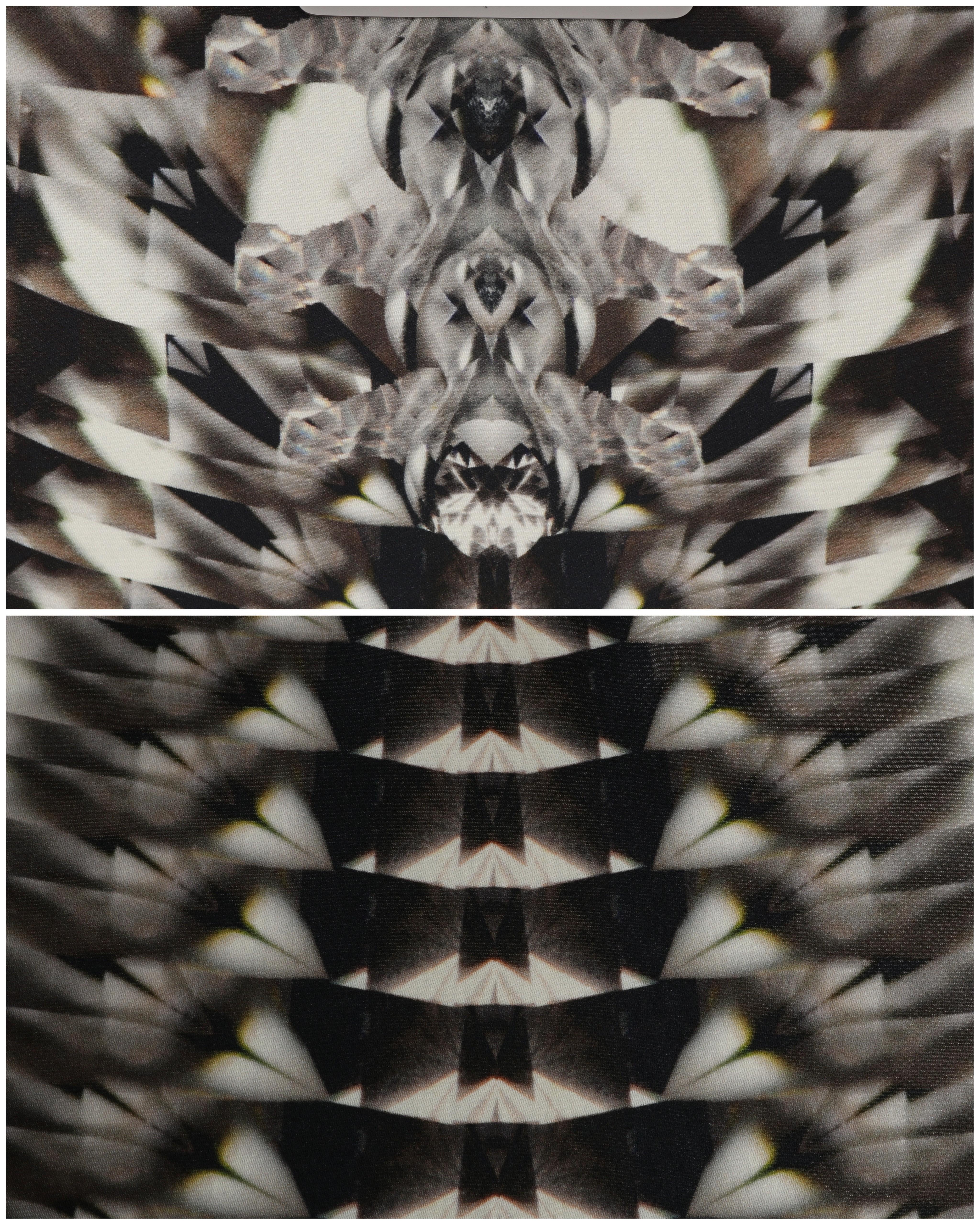 Alexander McQueen P/E 2009: Pochette oversize con stampa scheletro e caleidoscopio in vendita 6