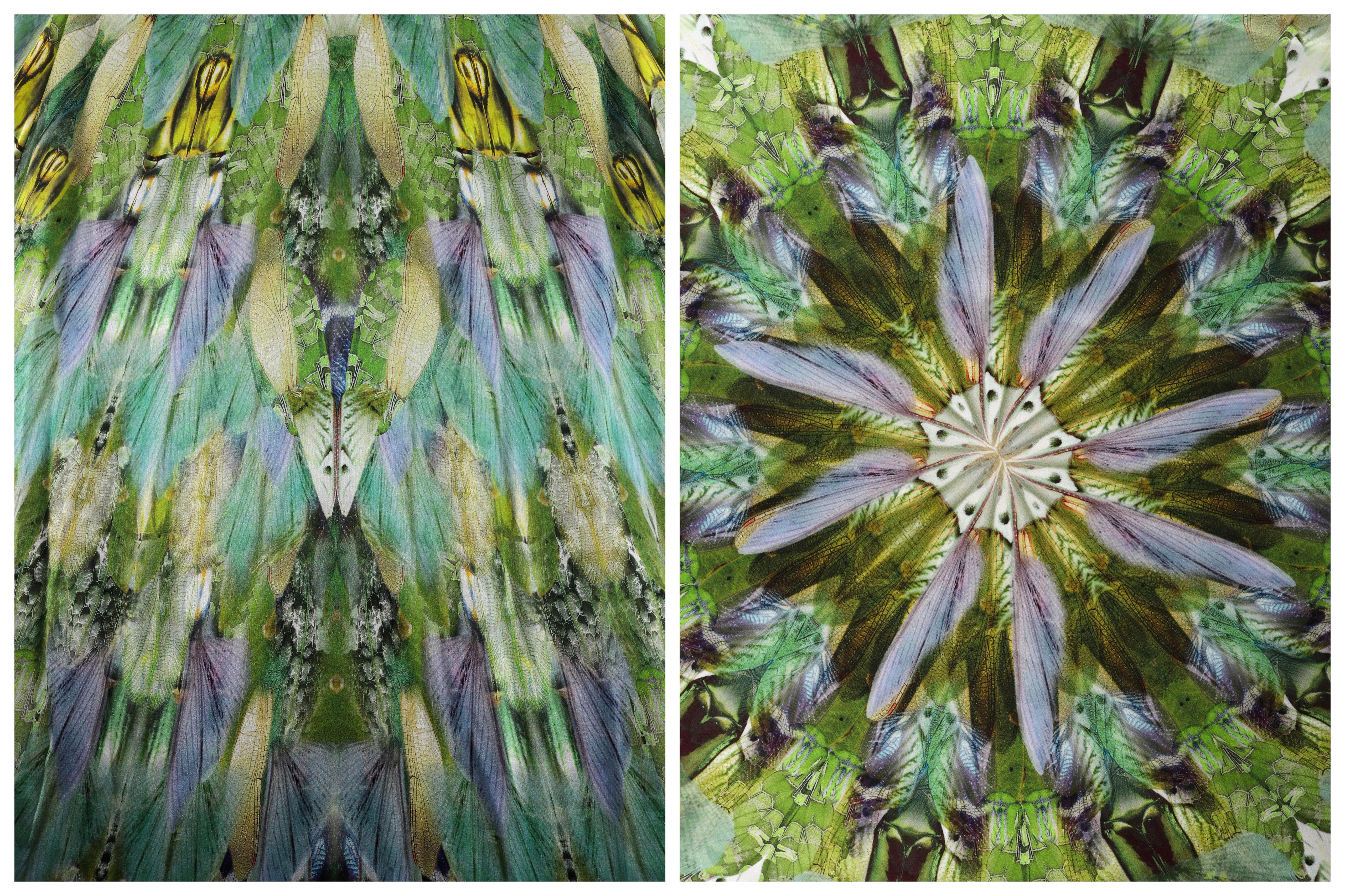 ALEXANDER McQUEEN S/S 2010 “Plato’s Atlantis” Praying Mantis Silk Evening Gown 1