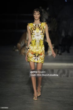 Alexander McQueen SS 2009 'Natural Dis-Tinction, Un-Natural Selection' Dress