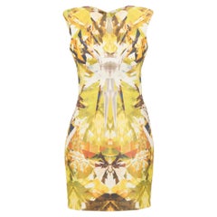 Alexander McQueen SS 2009 'Natural Dis-Tinction, Un-Natural Selection' Dress