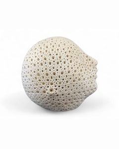 Large Teracotta Head”